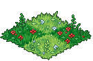 Wonderland Grass 1