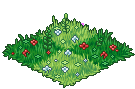 Wonderland Grass 2