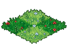 Wonderland Grass 3