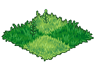 Wonderland Grass 5