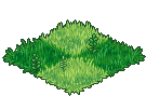 Wonderland Grass 6