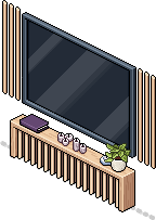 Mounted TV 1