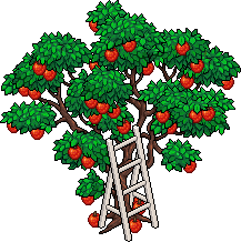ducket_c26_appletree_2